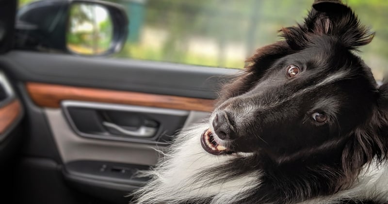 Road trip en famille : conseils pratiques et étapes incontournables